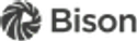 Bison Casino Logo
